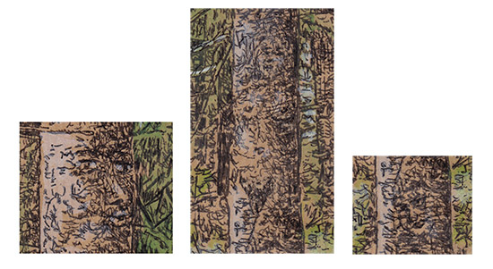 Noen detaljer fra skogsfragment 21