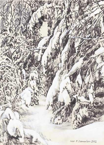 Vinterkledd skog 2