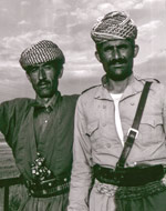 Iranske kurdere